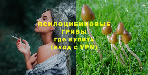 mdpv Арсеньев