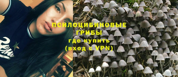 mdpv Арсеньев