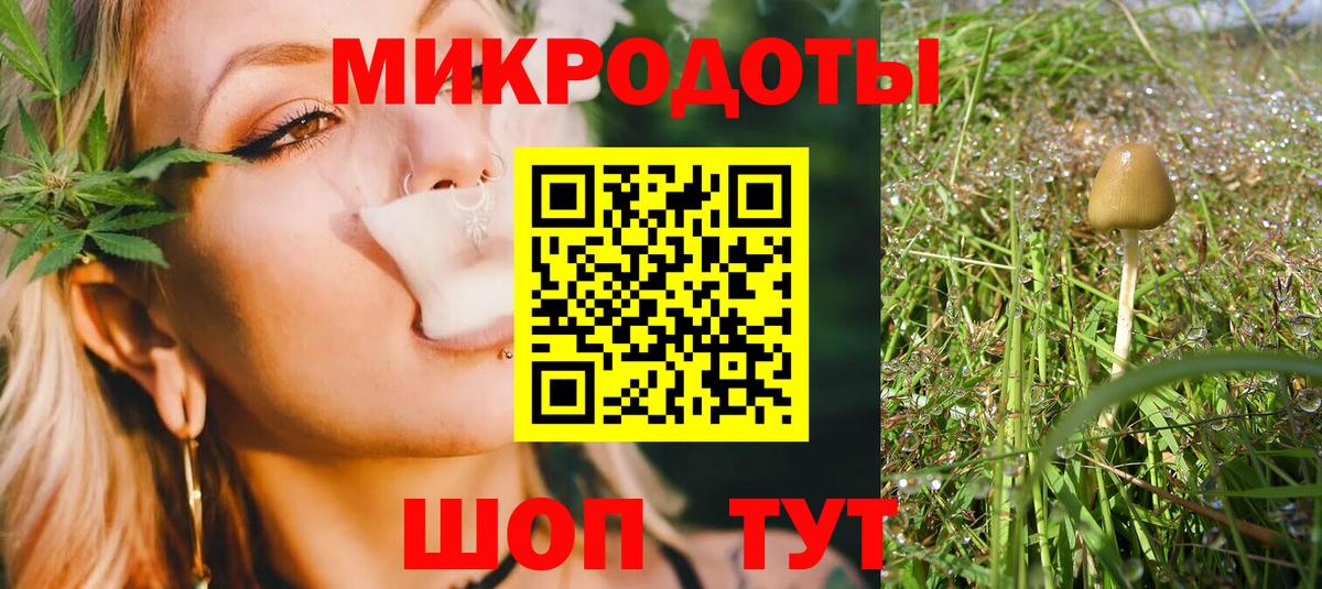 Псилоцибиновые грибы Psilocybe  Вход с VPN  Зима 